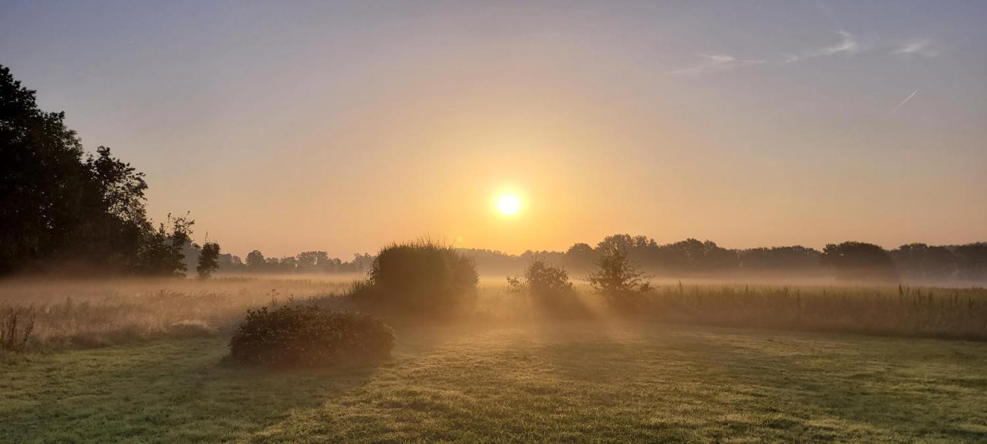 B&B D'Hollehoeve Heist-op-den-Berg Kültér fotó